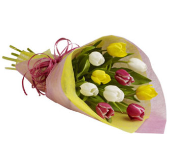 Tulip Treasure